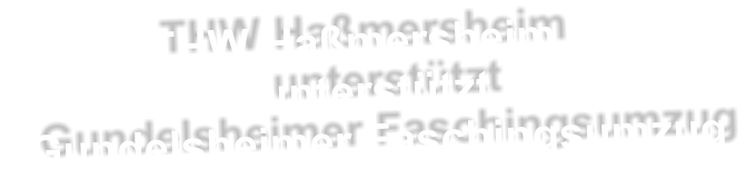 THW Haßmersheim                       unterstützt   Gundelsheimer Faschingsumzug